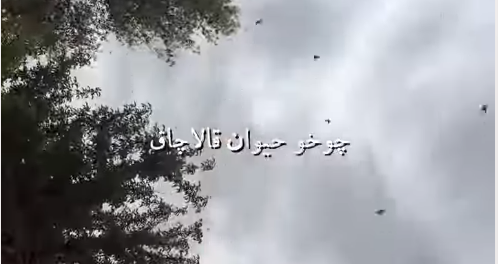 استاد شهریار